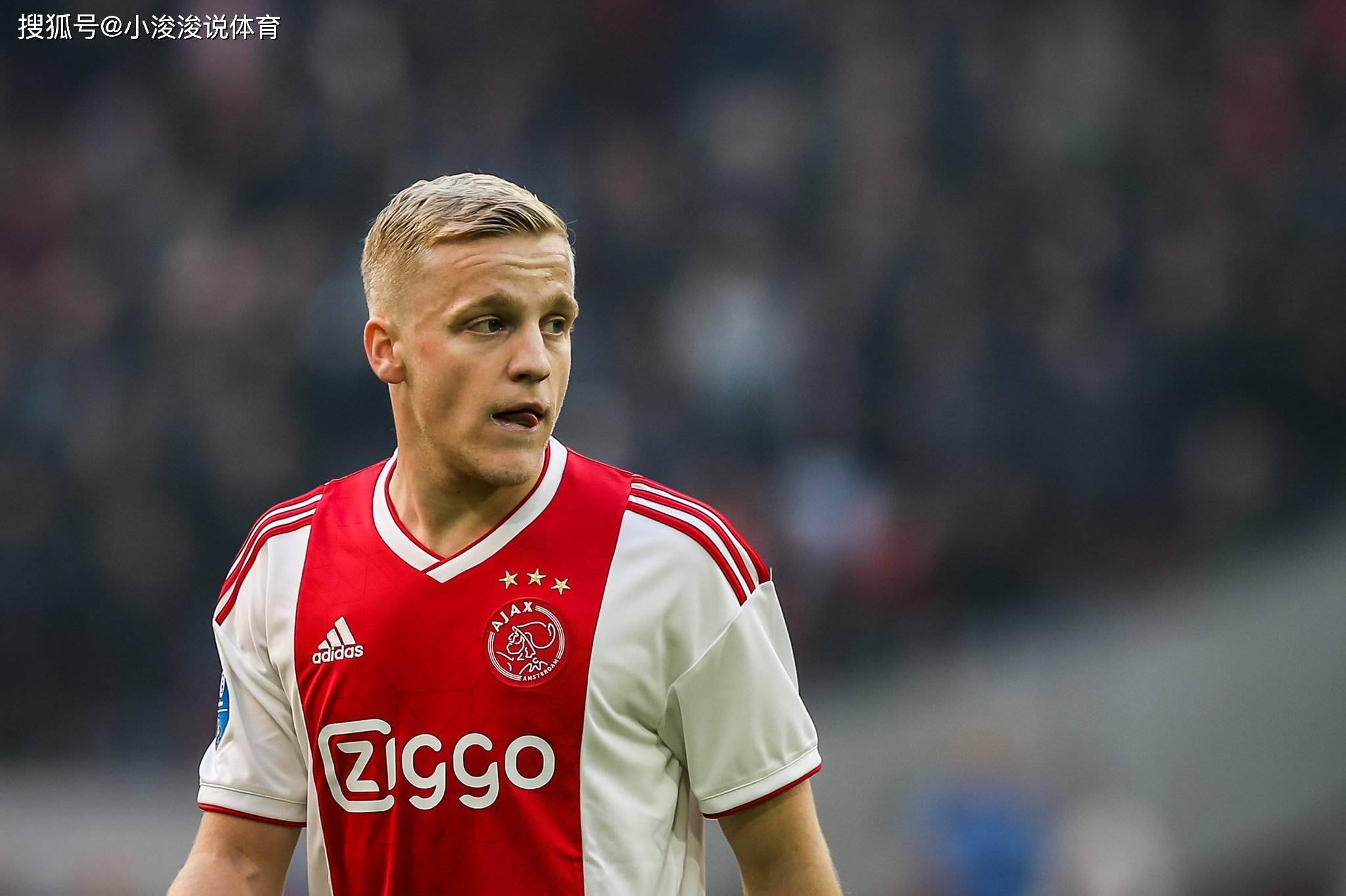 巴切的可执 巴切的可执