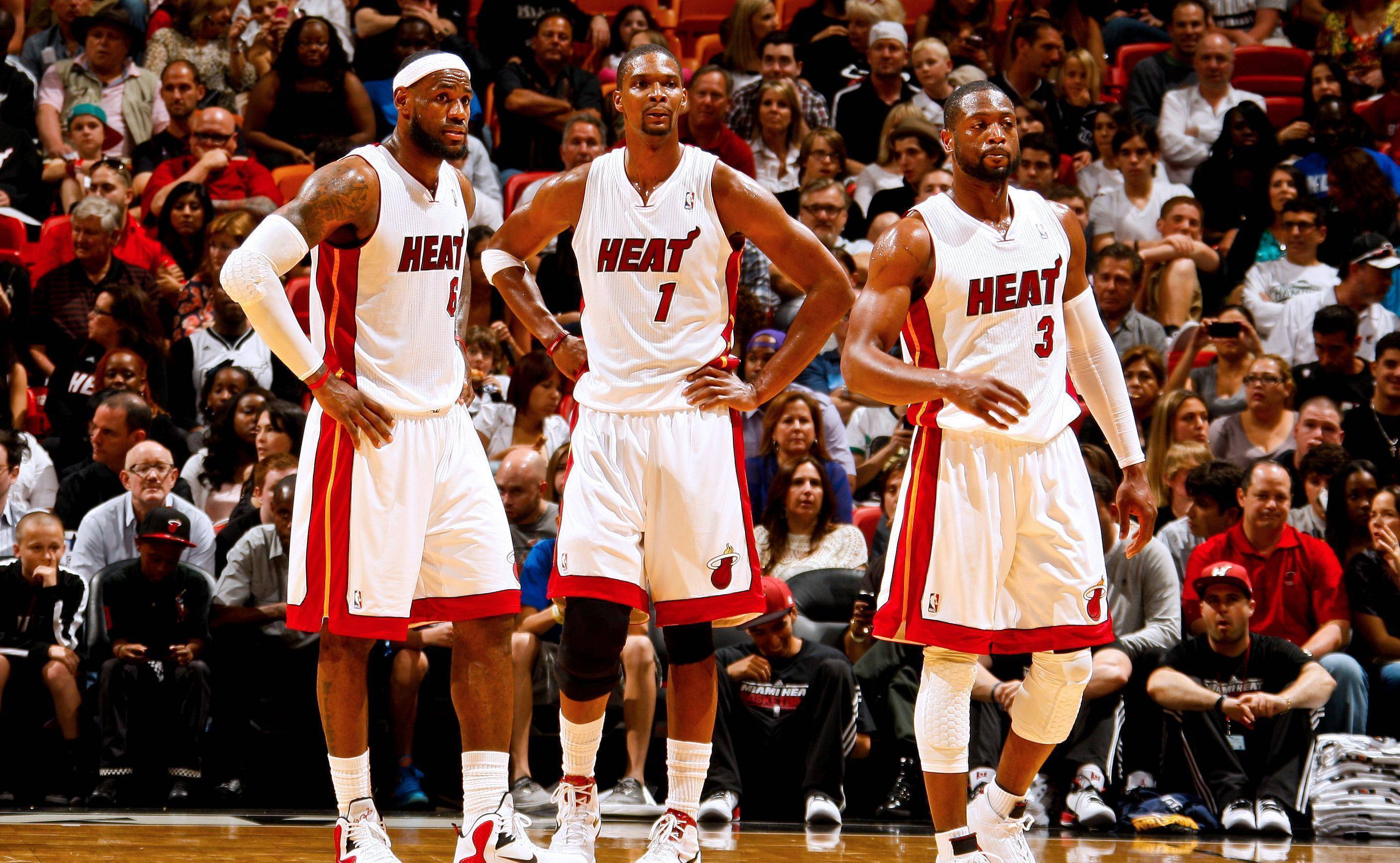 对新人而言 对新人而言